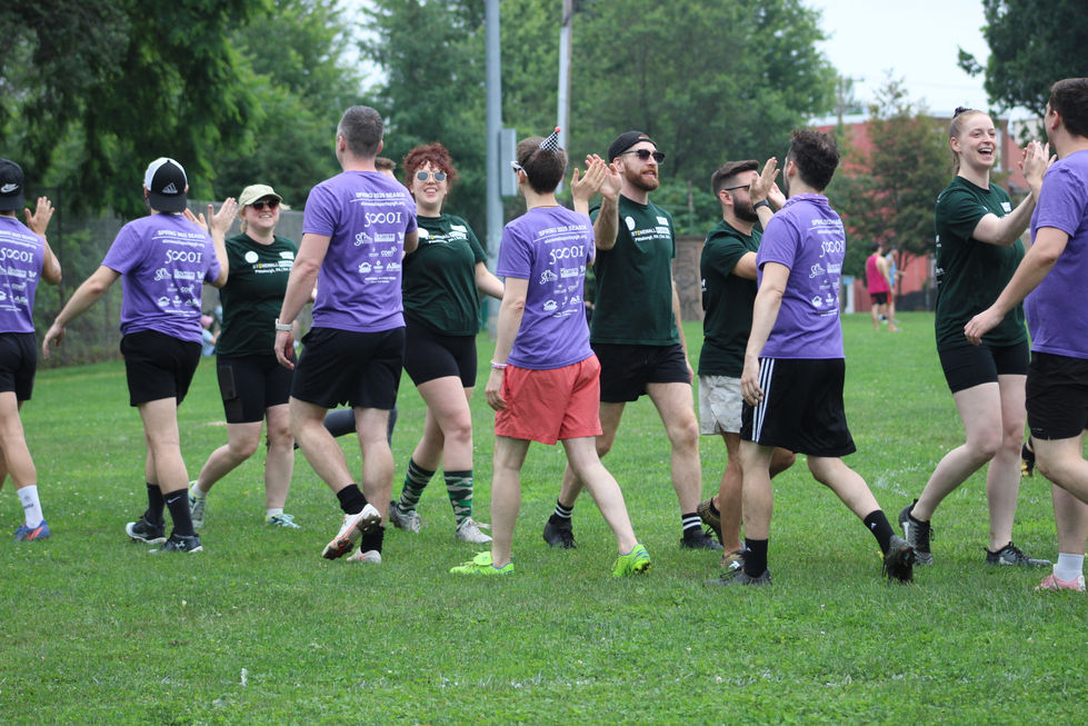 purple--army-green_54592071315_o