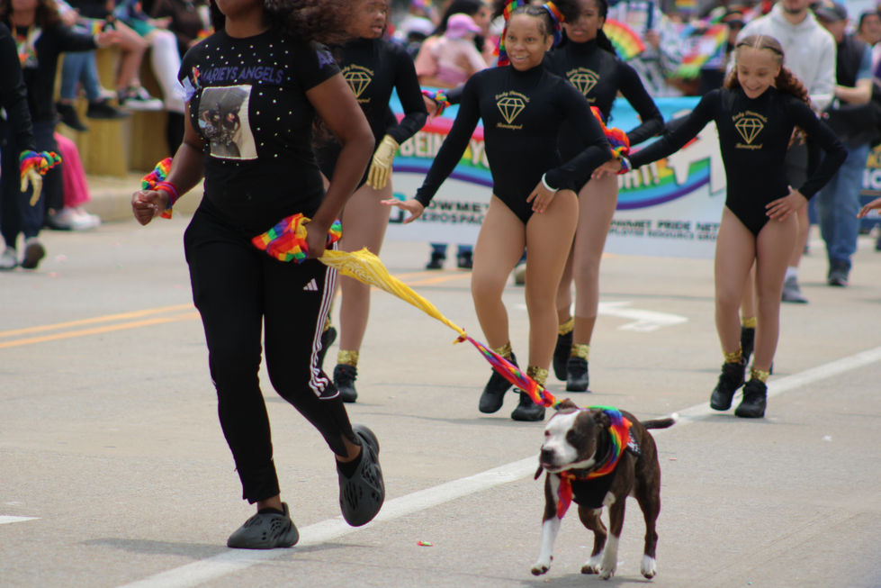 lady-diamonds_54565324487_o