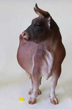 Large Lizzy II