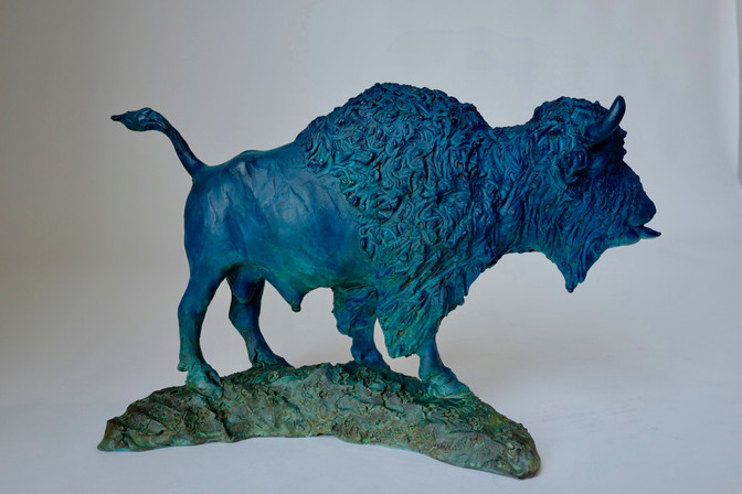 Bold Bison Bull 6 of 9