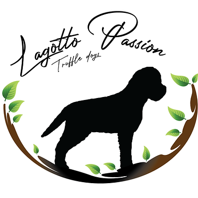 lagotto_WEB_NoBackground.png