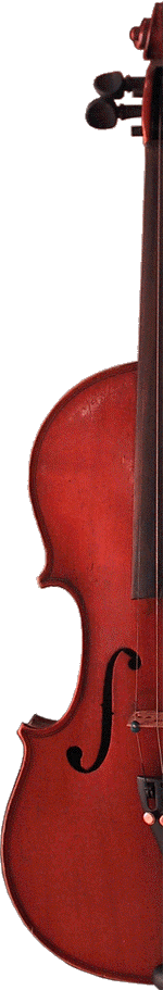violin reverse.gif