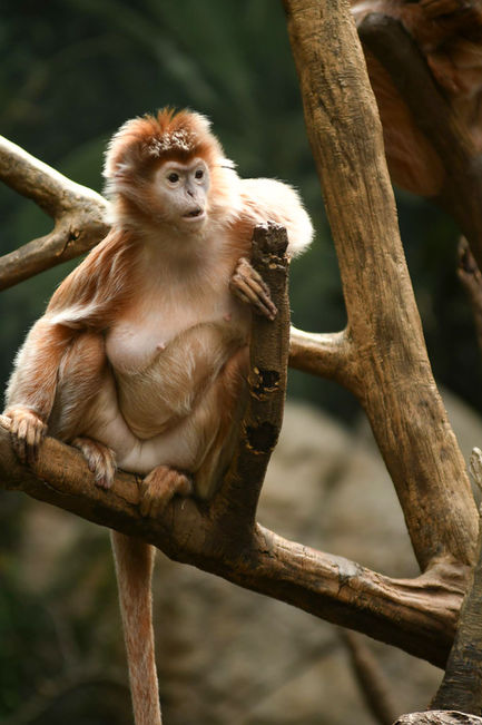 ChrisPriedemannPhotos-148