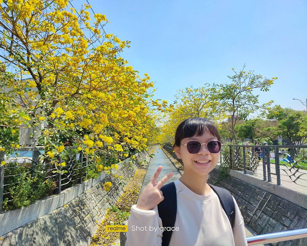 王昱媗