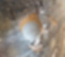 Close-up of a round hole bored into rough, brown wood. The wood texture is detailed, with frayed edges, small cracks, and white residue.