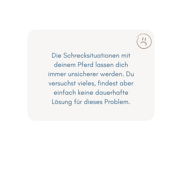 Silke Schnieders Webseiten Elemente - 2025-02-17T234908.058.png