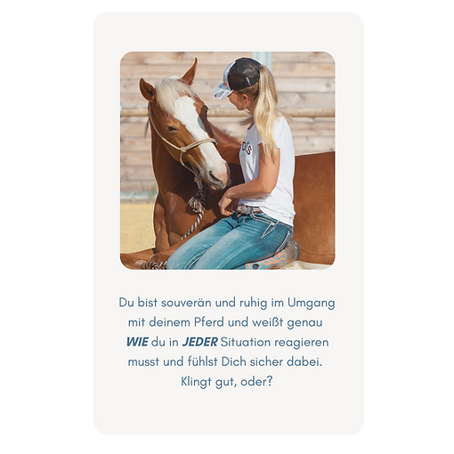 Silke Schnieders Webseiten Elemente - 2025-02-18T100056.831.png