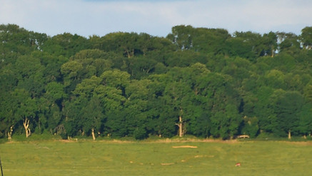 View into the beautiful Vale of Belvoir from the Hosenbury Festival site