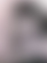 BERNAT I BALDOVÍ, Josep Francesc, “l’Amante”, “el Sord”, “el Sueco"