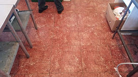 IMG-20230715-WA0038.jpeg