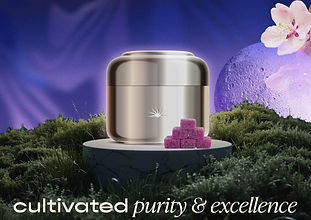 cultivated purity.jpg