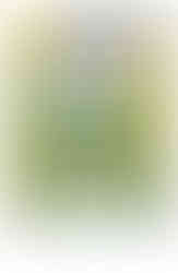 Bakery monster is shocked, hearing shouting from far away.