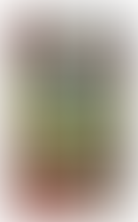 Dwarf with cane saying dialogue in front of cottage door.