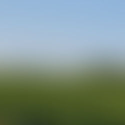 Comment choisir sa décoratrice événementielle en Gironde pour son mariage ?