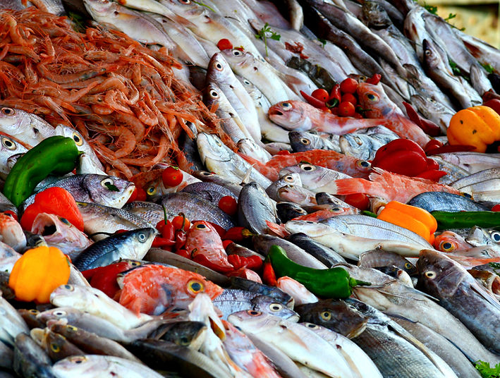 stefano-zocca-AT_vYacDNPo-unsplash_edite