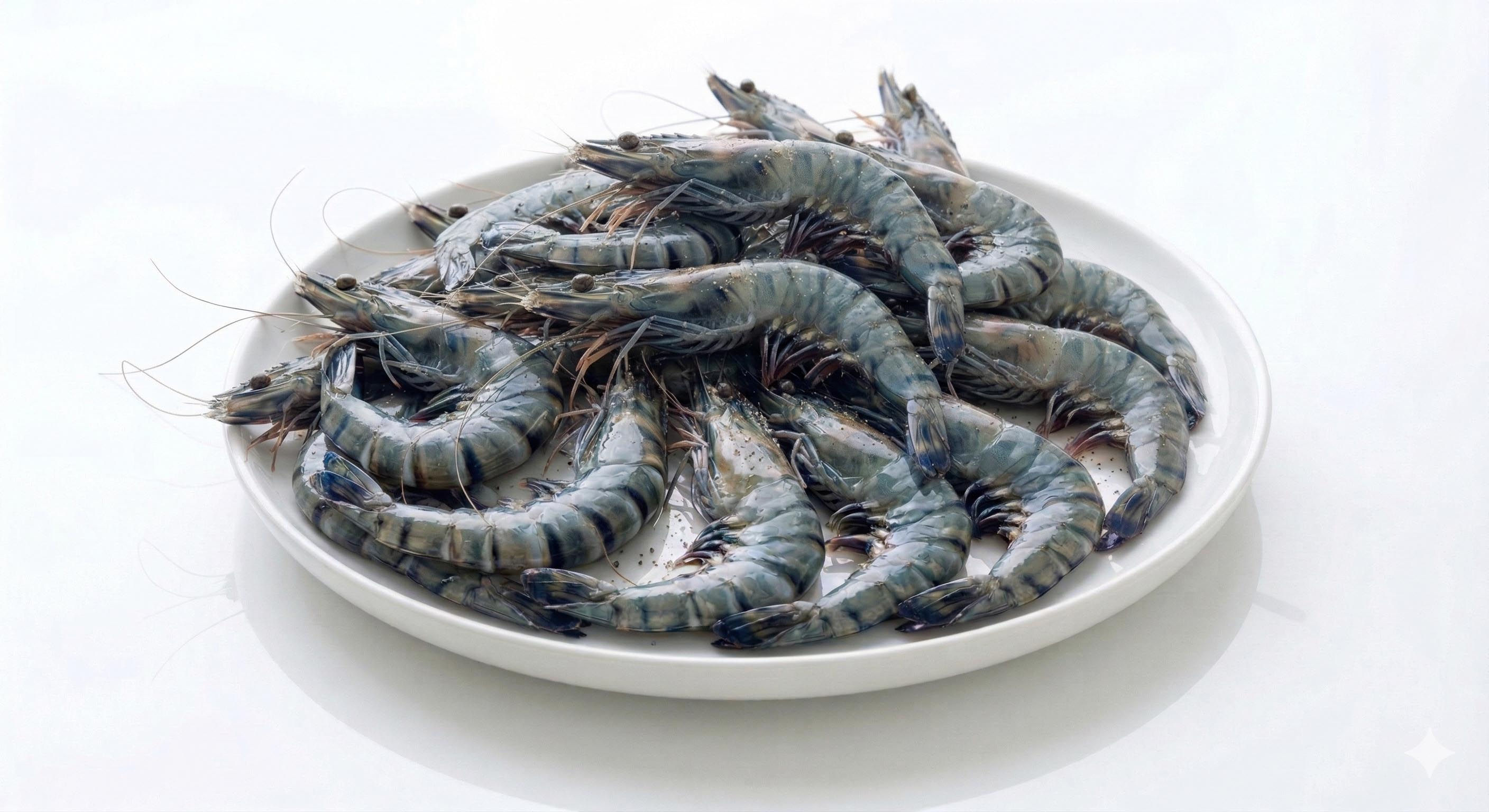 Raw Tiger Prawns
