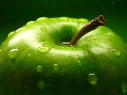 Body image - apple.jpeg