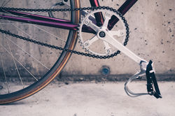AdobeStock_96545428.jpeg
