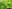 AdobeStock_47348650.jpeg