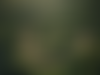 Ultimate Outdoor Adventure Guides for Nature Enthusiasts