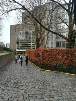 Iván Escuder (Gante, Bélgica)