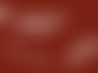 Immigration Attorney