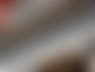 What Happens at a Master Hearing and Individual Hearing in Immigration Court?