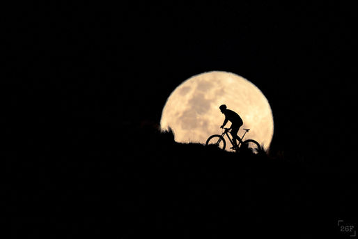 Mountain biker doing wheelie above creek on Paparoa Track