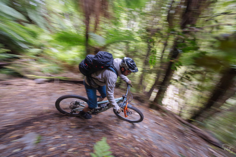 Mountain biker cornering in the rainforest on the Paparoa Track, West Coast