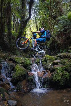 Mountain biker doing wheelie above creek on Paparoa Track