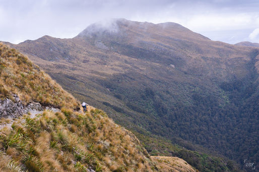 Mountain biker cornering on an alpine section of trail with mountains in the background, on the Paparoa Track