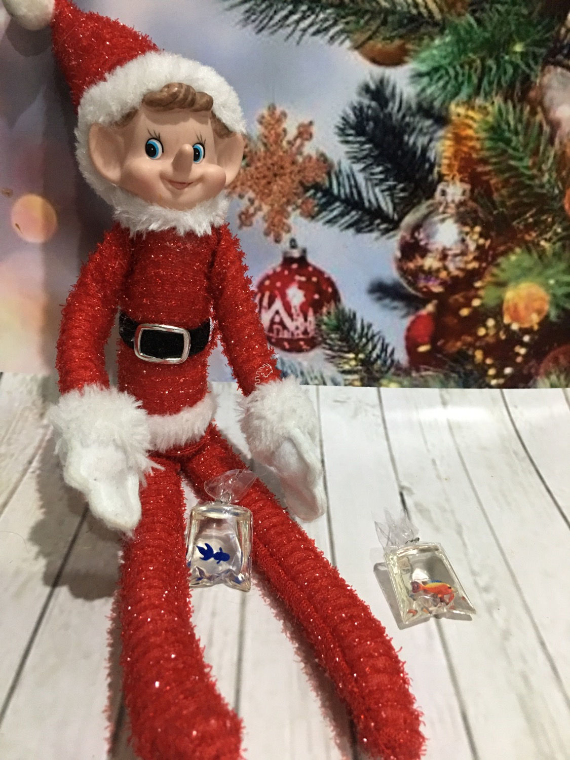 Elf sized fish in a bag 