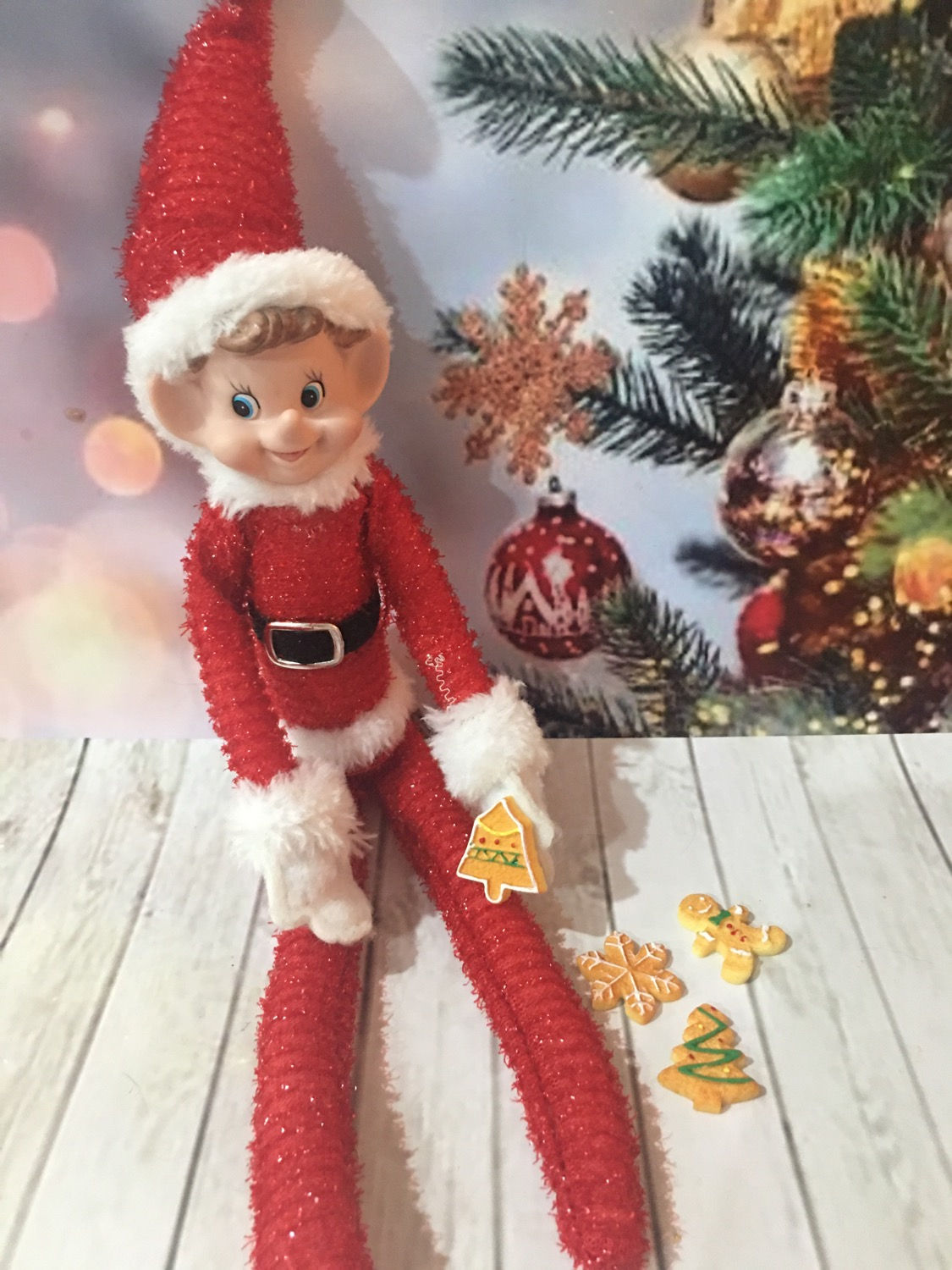 Set of 2 Christmas cookies 