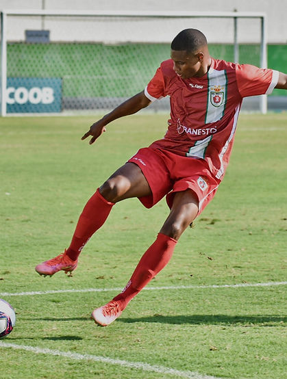 Vicente de Jesus da Luz