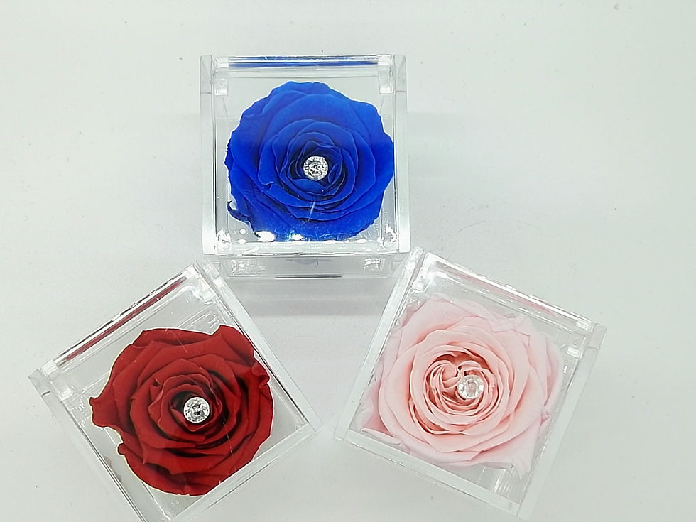 Miniatura: Rosa rosa stabilizzata in cubo di plexiglass