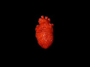 "Pulse" By Peach Perry