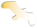 Epic-Art-logo-gold.png