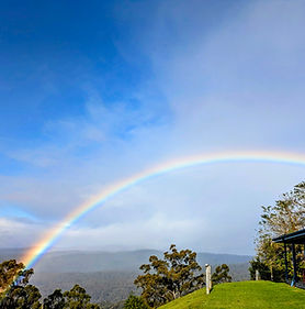 Wild Sky Studio Little Forest.jpg