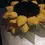 Thumbnail: Buttercream Sunflower Cake 