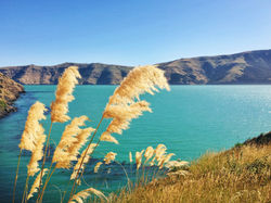 akaroa 22