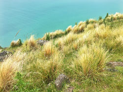 59C22717-13B7-4CA8-A8B7-A1B7B2A4CBDA