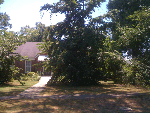 house1.gif