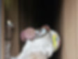 baghouseinspection.jpeg