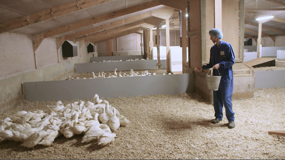 (圖片由官方提供)