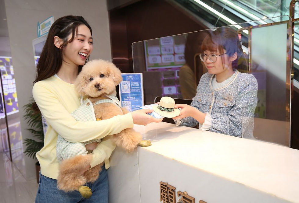 北角匯提供十大寵物貼心增值服務,免費借用寵物車、寵物飾物、寵物濕紙巾等出遊日用品(圖片由北角匯提供)
