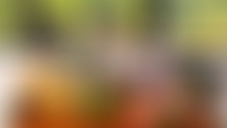 編織夏日活力：The Jacksons 春夏系列綻放女性匠心力量