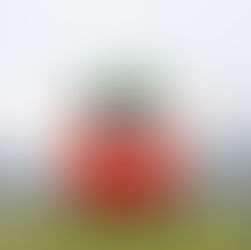 9米巨型胡蘿蔔登陸星光大道：STAYREAL《MOJO EXPO 星光蔔覽》矚目登場