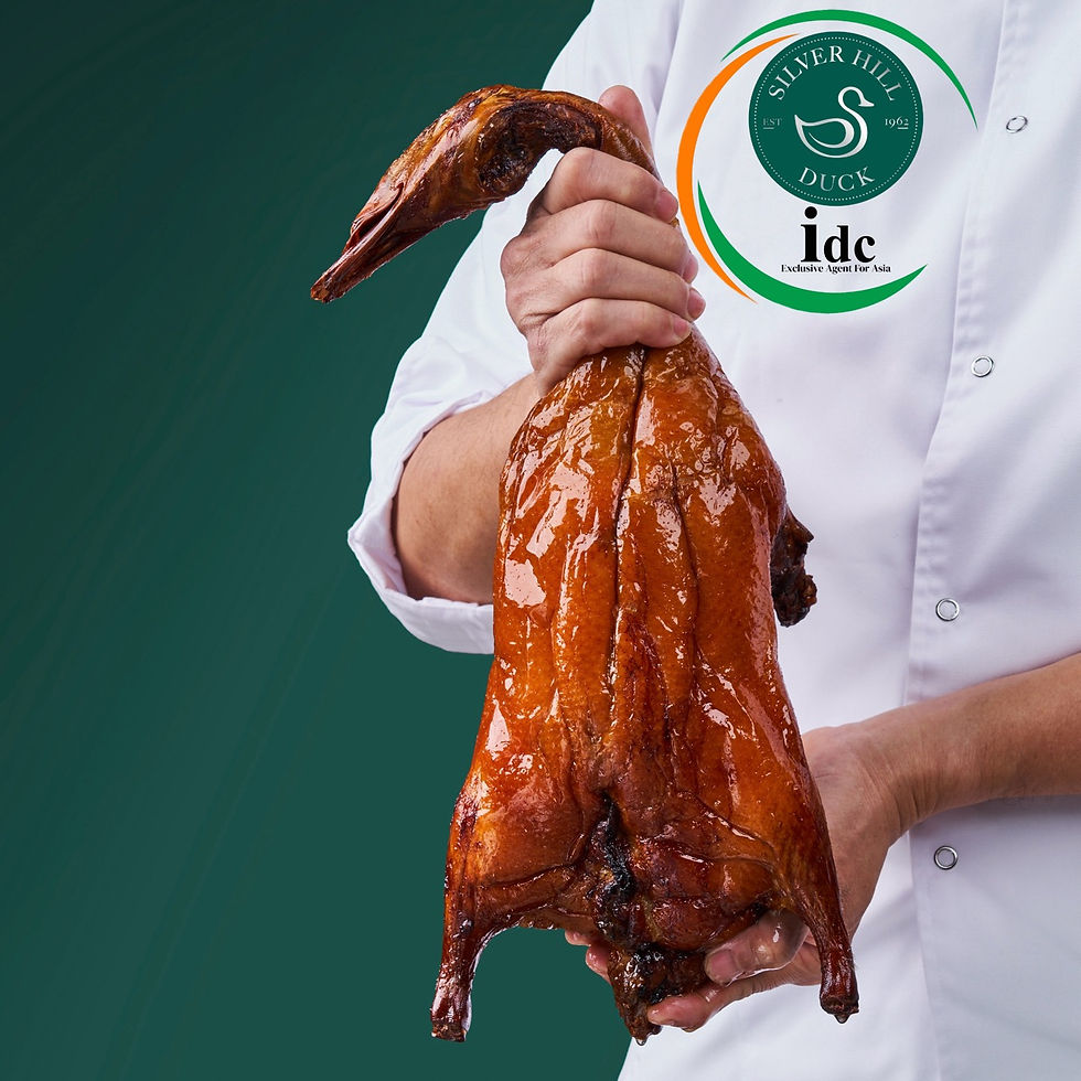 (圖片由官方提供)