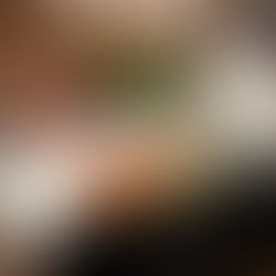 MINATO呈獻東京米芝蓮星級盛宴 九道菜配四款清酒 盡顯東瀛匠心美藝