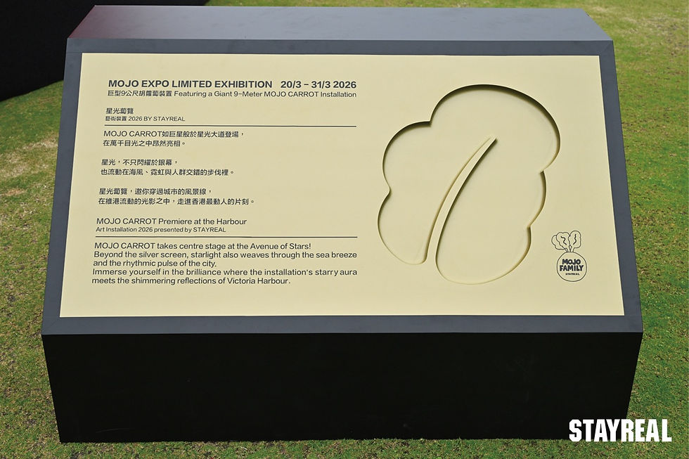 （圖片由STAYREAL提供）